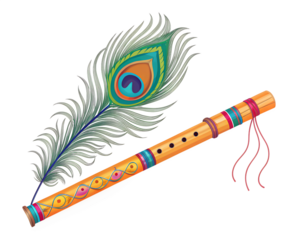 peacock feather illustration with fluite isolated on white background. PNG Transparent file type with high definition quality And vibrant color grading Available.