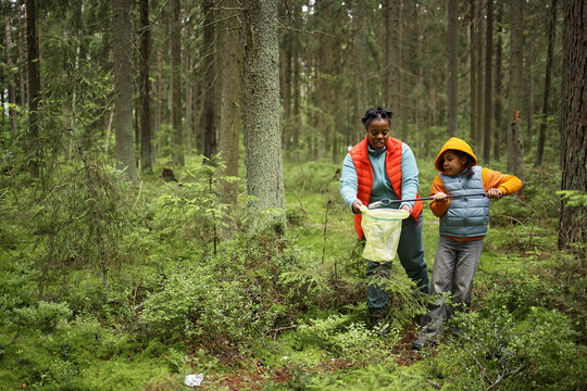 Black woman and Black child exploring forest, holding butterfly net and stick, walking together among trees, engaging in outdoor activity, enjoying nature, looking at each other