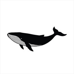Majestic humpback whale illustration with textured black silhouette on white