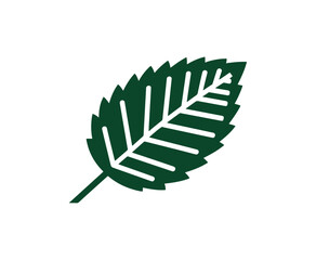 Dark green leaf graphic design element