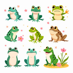 Fototapeta premium set of frogs