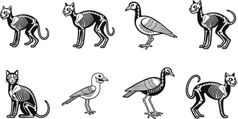Obraz premium Cartoon skeletons of cats and birds on a white background design