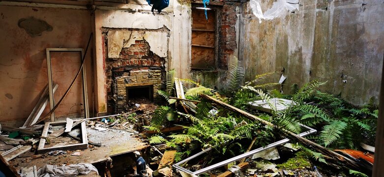 Abandoned living room home interior, rubble reclaimed by nature. Post apocalyptic style jurassic park residential house. Uninhabited crumbling fireplace, collapsing ruin. Overgrown ferns, urban debris