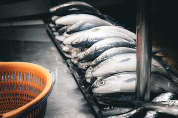 Milkfish for sale at wet market Manila Philippines 2024 