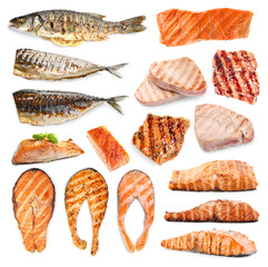 Different types of grilled fish on white background, collage