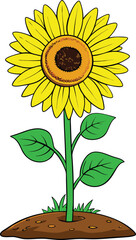 Fototapeta premium Vibrant sunflower in full bloom on a lush green stem