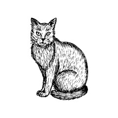 Sitting cat - sketch outline illustration. Halloween symbol, black cat doodle drawing in engraving style. Hand-drawn vector line art clipart isolated on a white background