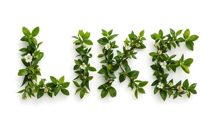 Obraz premium Eco typography word LIKE made of green leaves and flowers sustainable nature concept, creative environmental design background