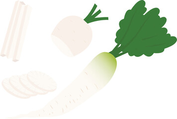 Vector illustration of fresh white radish with cut slices, sticks, and green leaves, perfect for vegetable illustrations or food-related designs, vegan recipes. Radish isolated on white background.