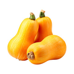 butternut squash 