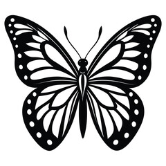 black butterfly isolated on white