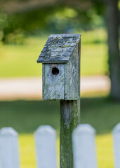 wooden bird house