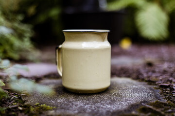 Milk jug in the forest 