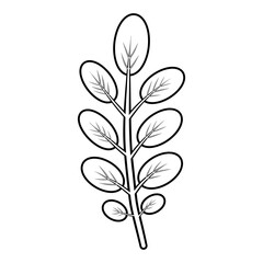 Robinia tree leaf contour illustration. Feather-like shape isolated vector element. Pinnate stem with 9 oval leaflets