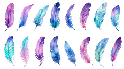 Beautiful watercolor feathers in a range of colors on a black backdrop, perfect for design projects.