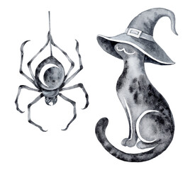 Spider on a web and black cat in a witchs hat for halloween graphic black textured illustration watercolor hand drawn