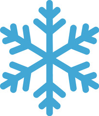 Snowflake winter snow ice crystal cold frost frozen season christmas holiday design