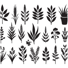 Flower Silhouettes  illustrations