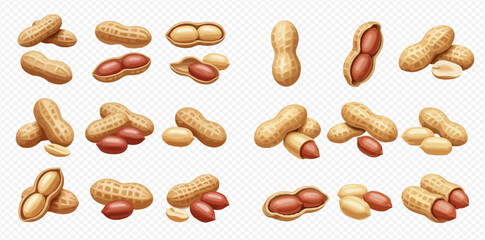 Collection of peanuts in shells, shelled peanuts, and peanut halves, displayed in various arrangements.
