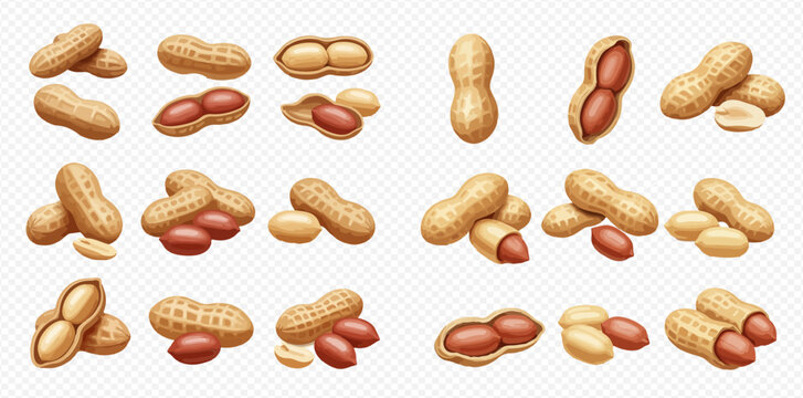 Collection of peanuts in shells, shelled peanuts, and peanut halves, displayed in various arrangements.
