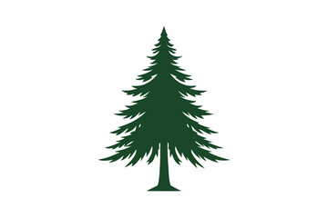 christmas tree isolated on white