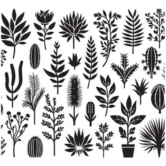 Flower Silhouettes  illustrations