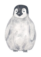 Watercolor grey arctic penguin isolated. Cute woodland animal.Hand drawn illustration for cards, t-shirts, posters, prints