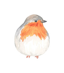 Watercolor forest red robin bird isolated. Cute woodland animal.Hand drawn illustration for cards, t-shirts, posters, prints