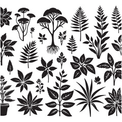 Flower Silhouettes  illustrations