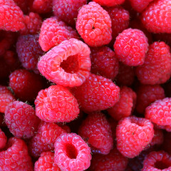 Pattern of juicy red raspberries scattered in an even layer square stock photo. Bright whole raspberries after picking in details   
