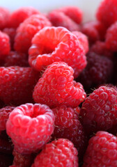 A pile of bright juicy raspberry fruits detailed photo for vertical backgrounds or wallpapers 