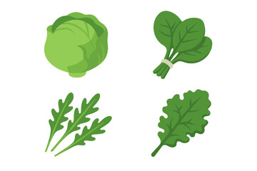 Fresh salad greens icons. Isometric flat icon set with lettuce head, spinach bunch, arugula leaves, and kale leaf. Vector illustration for healthy eating, organic food, vegetarian.