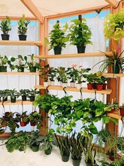 plant shop