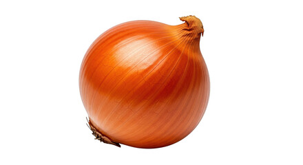 Fresh golden onion isolated close-up studio shot healthy vegetable food ingredient