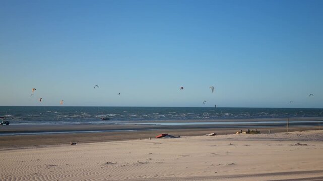 Kitesurfers sailing in the sea.