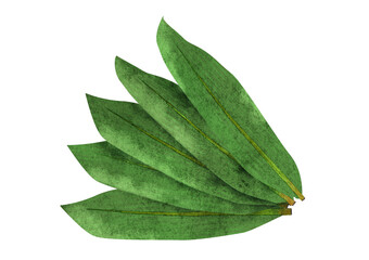 5枚の笹の葉の水彩風イラスト