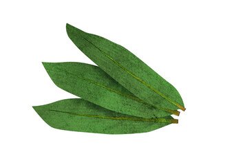 3枚の笹の葉の水彩風イラスト