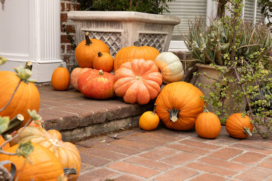 Variety of pumpkins and gourds of different sizes and white pumpkins arranged artfully as decoration for autumn fall on a brick patio in suburbs
