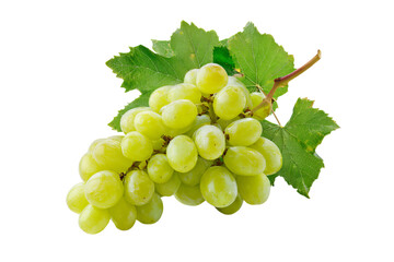 a bunch of green grapes with leaves on an  isolated on a transparent background in PNG format.