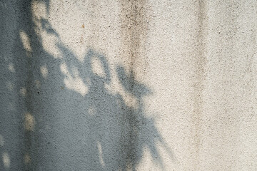 Plastered concrete wall painted in white. Plastering is partly peeled off. High resolution full frame textured background in black and white. Copy space.
