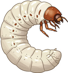 Grub insect larva stage vector illustration detailed nature biology science vector © Taslima