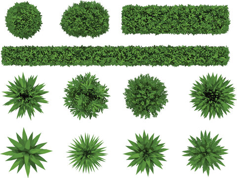 Top view vector illustration of diverse green bushes, shrubs, hedges, and foliage elements for landscaping, garden design, architecture, nature projects, and outdoor environment visuals. - Powered by Adobe