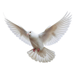 Obraz premium hite dove mid-flight with wings spread, isolated transparent PNG, symbol of peace, freedom, purity, spirituality, and hope, perfect for design, art, and inspirational projects