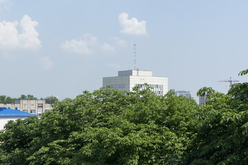 City view with dense treetops, high-rise building and active construction zone