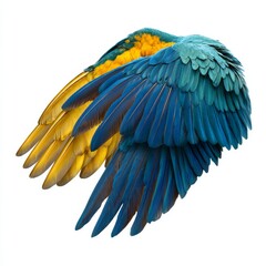 Obraz premium A stunning close-up shot of a parrot's vibrant, multi-colored wing, showcasing the intricate details of its feathers