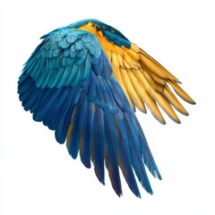 Obraz premium A close-up shot of a vibrant blue-and-yellow macaw wing, showcasing intricate feather details and color contrast. The image captures the beauty of avian wings