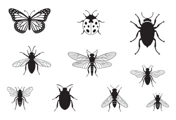 Diverse Insects A Black and White Illustration of Various Species