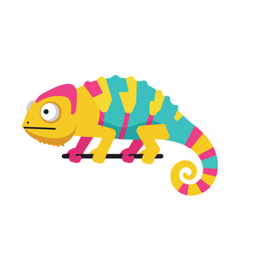 Chameleon Perching on a Branch in a Tropical Habitat