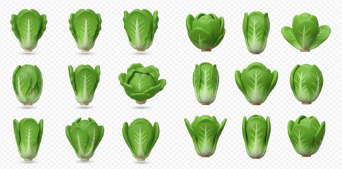Collection of fresh green baby Chinese cabbages shown from various angles.