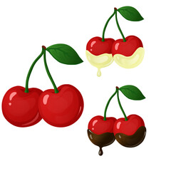 cherries on a branch in dark and white chocolate
